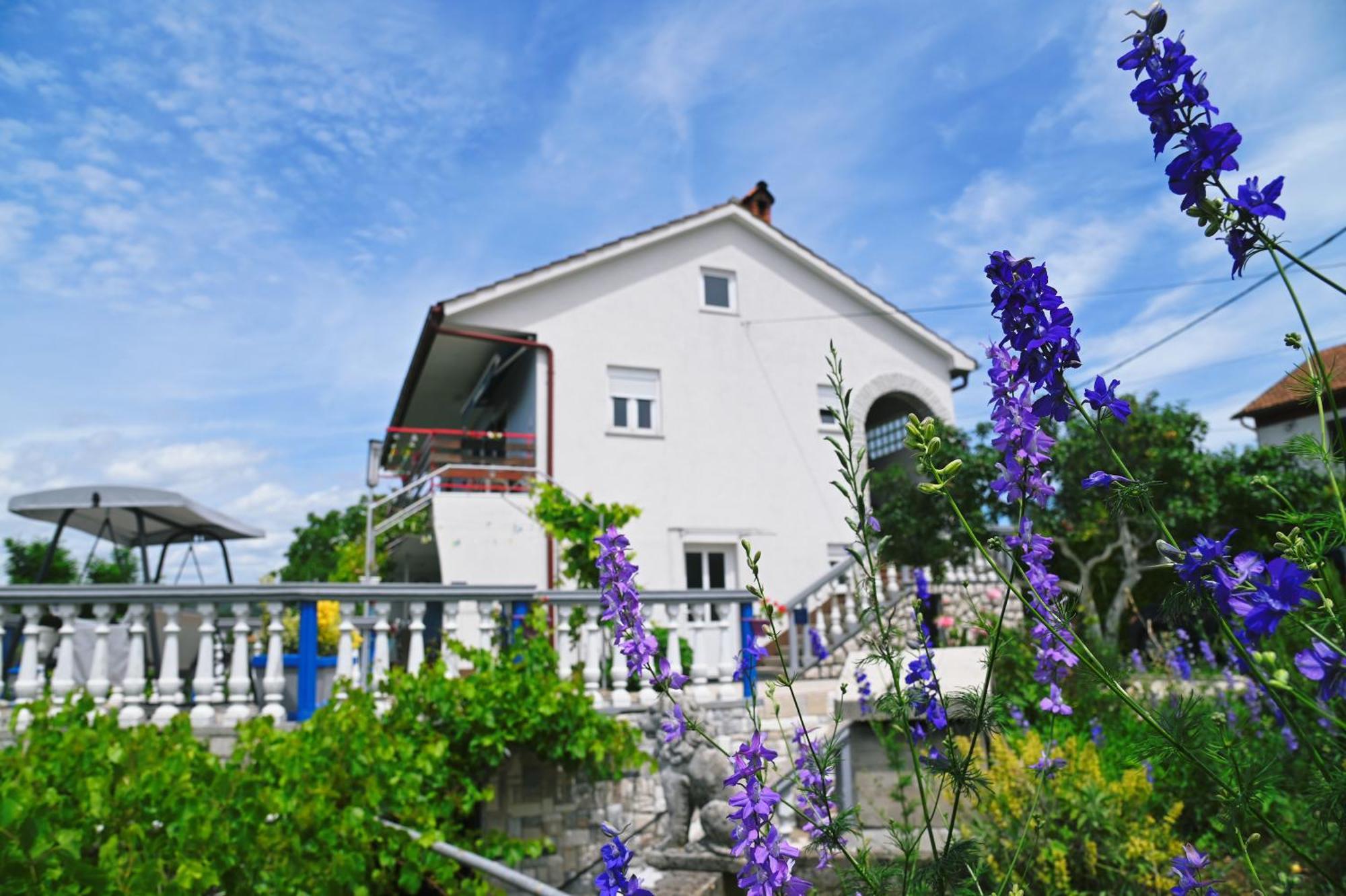 Apartments Biondi Viskovo Exterior foto